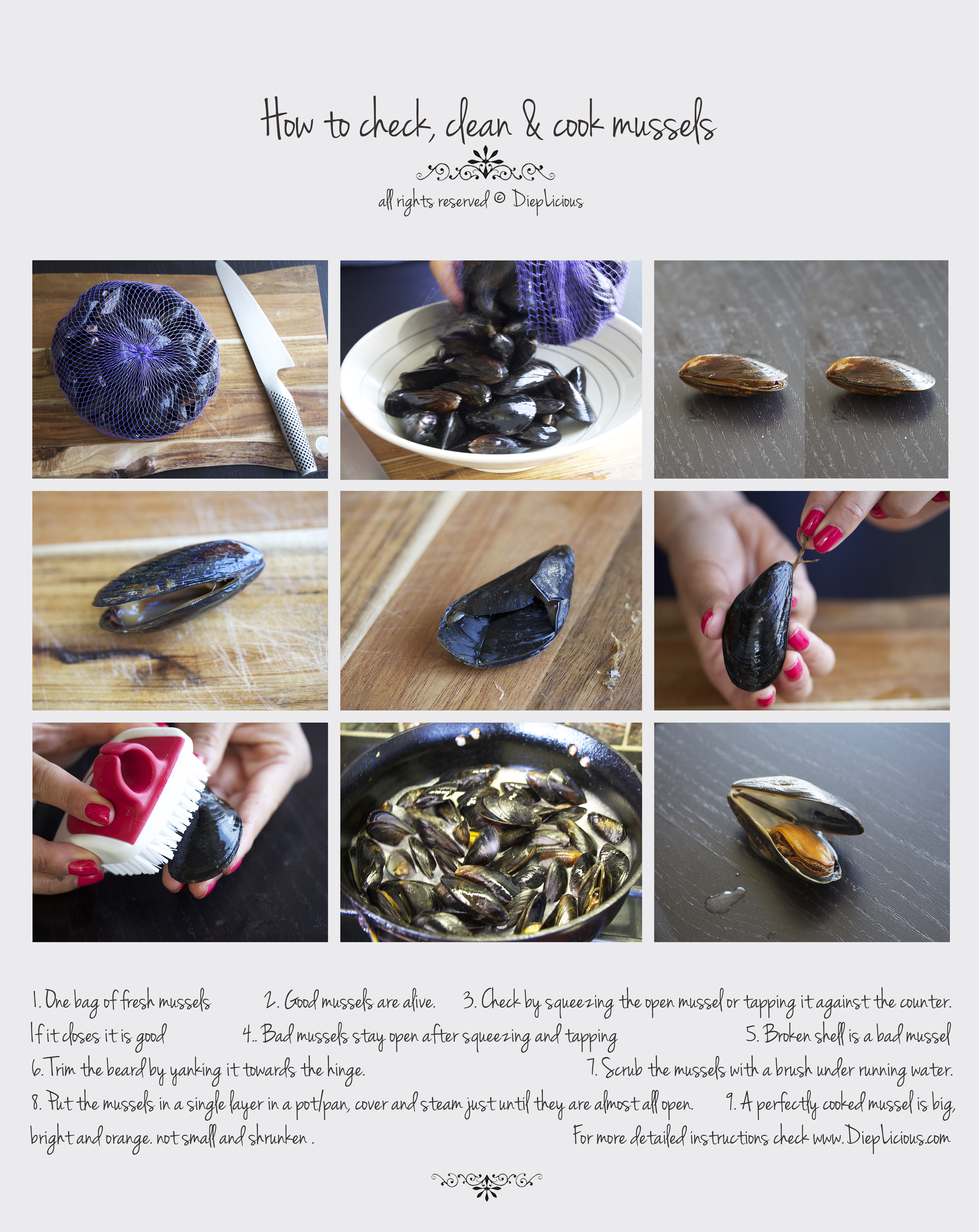 how to check, clean and cook mussels